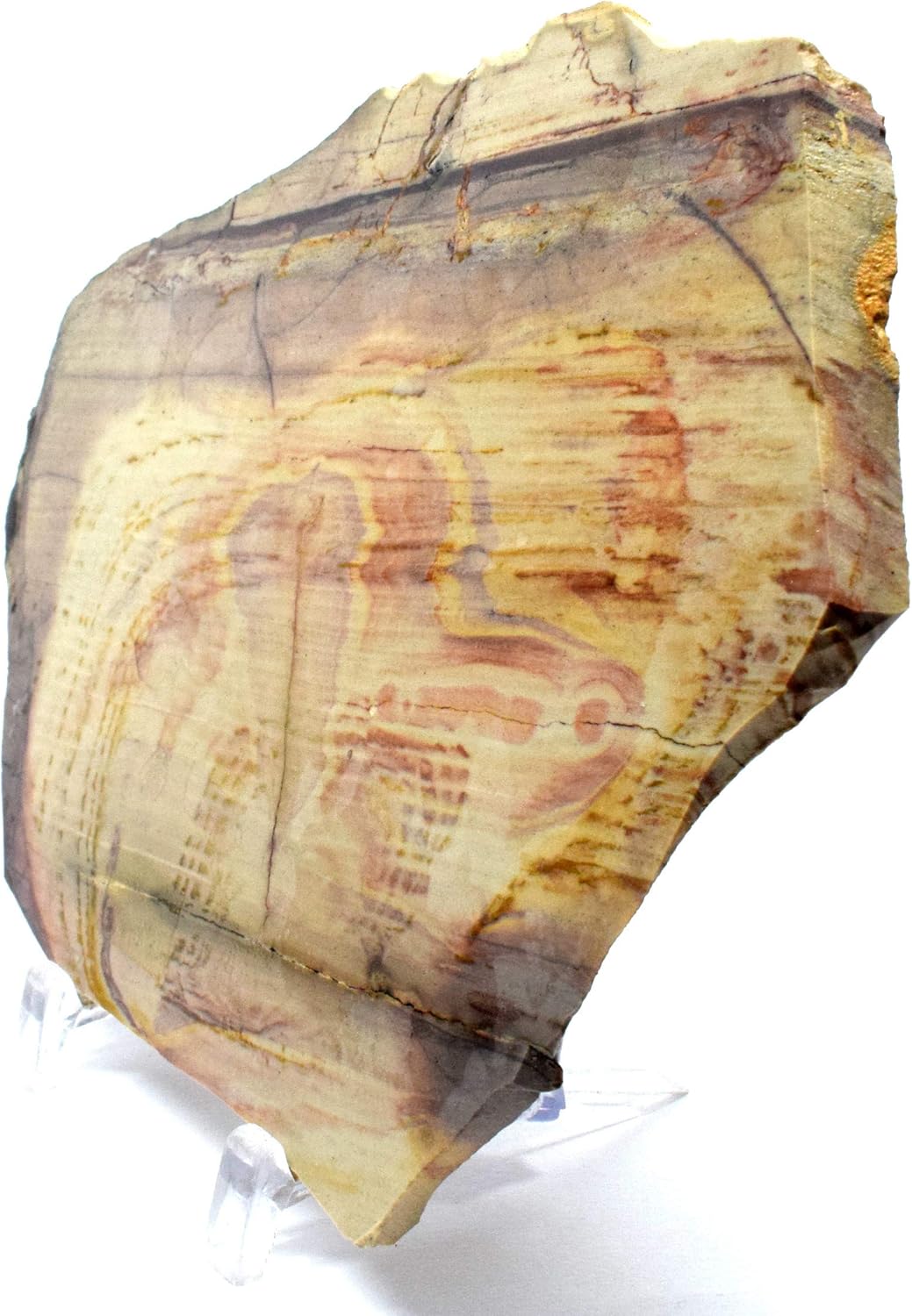61 Inch Polychrome Royal Jasper Slab Decor Stone