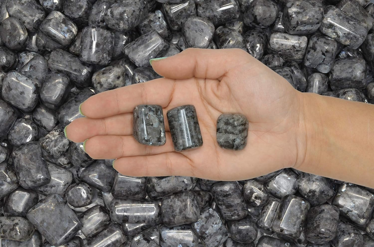 Fantasia 1 lb Hand Polished Larvikite Stones