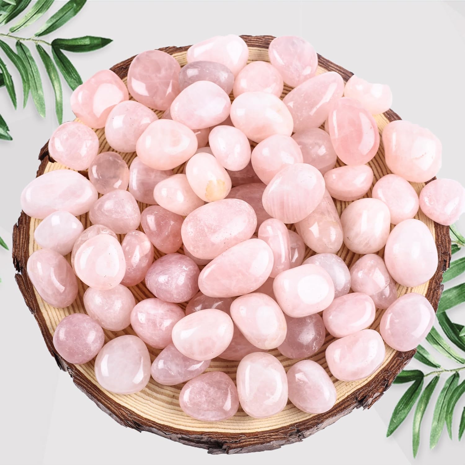 FORBY 3lb Natural Rose Quartz Tumbled Stones Crystal Set