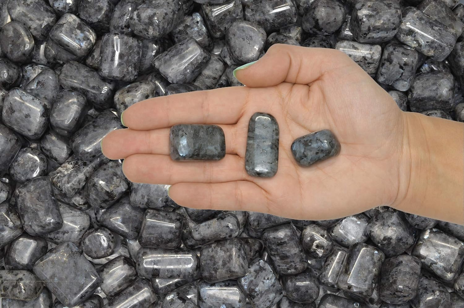 Fantasia 1 lb Hand Polished Larvikite Stones