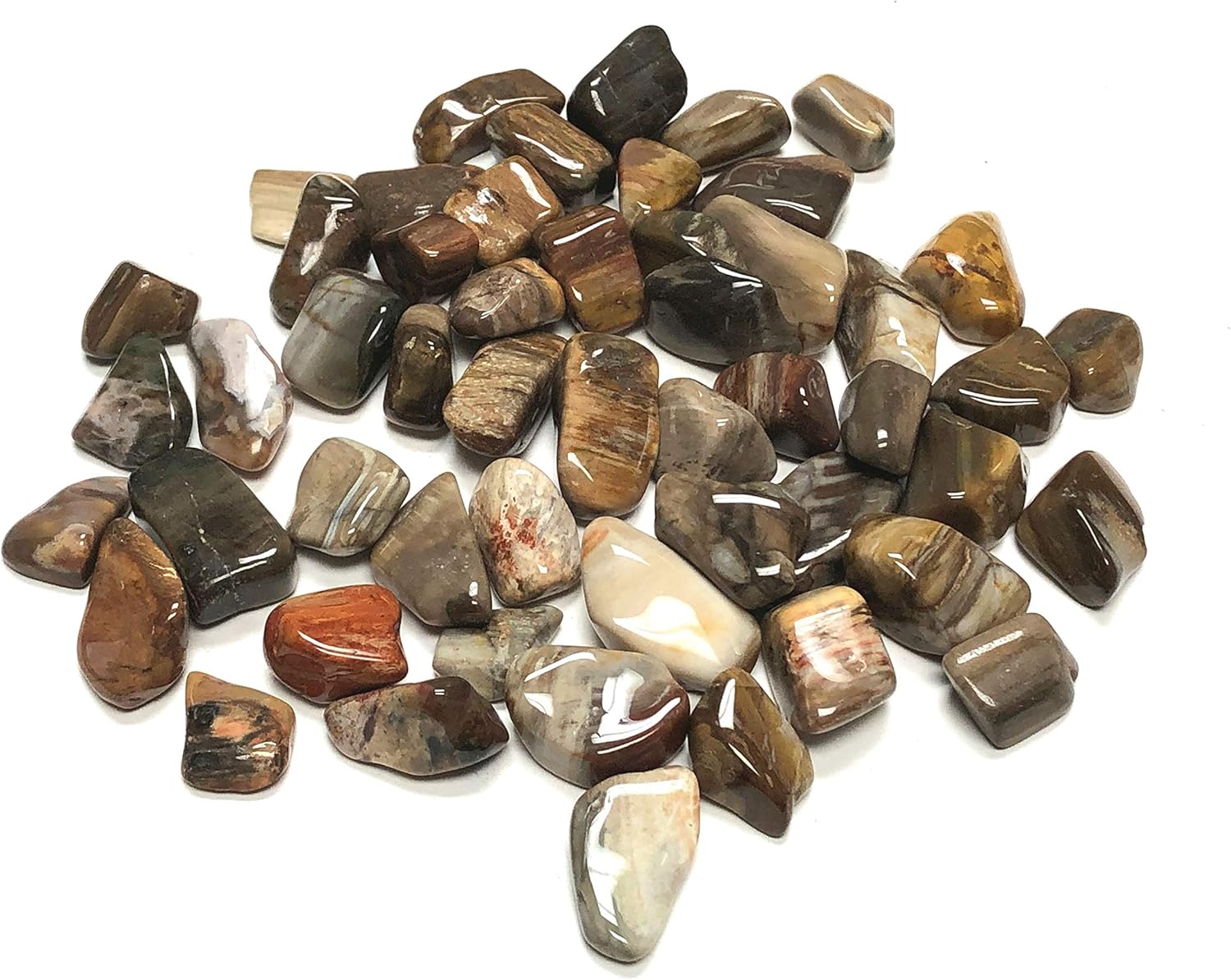 Tumbled Petrified Wood - 1 Inch Stones in Velvet Bag 1 Pound