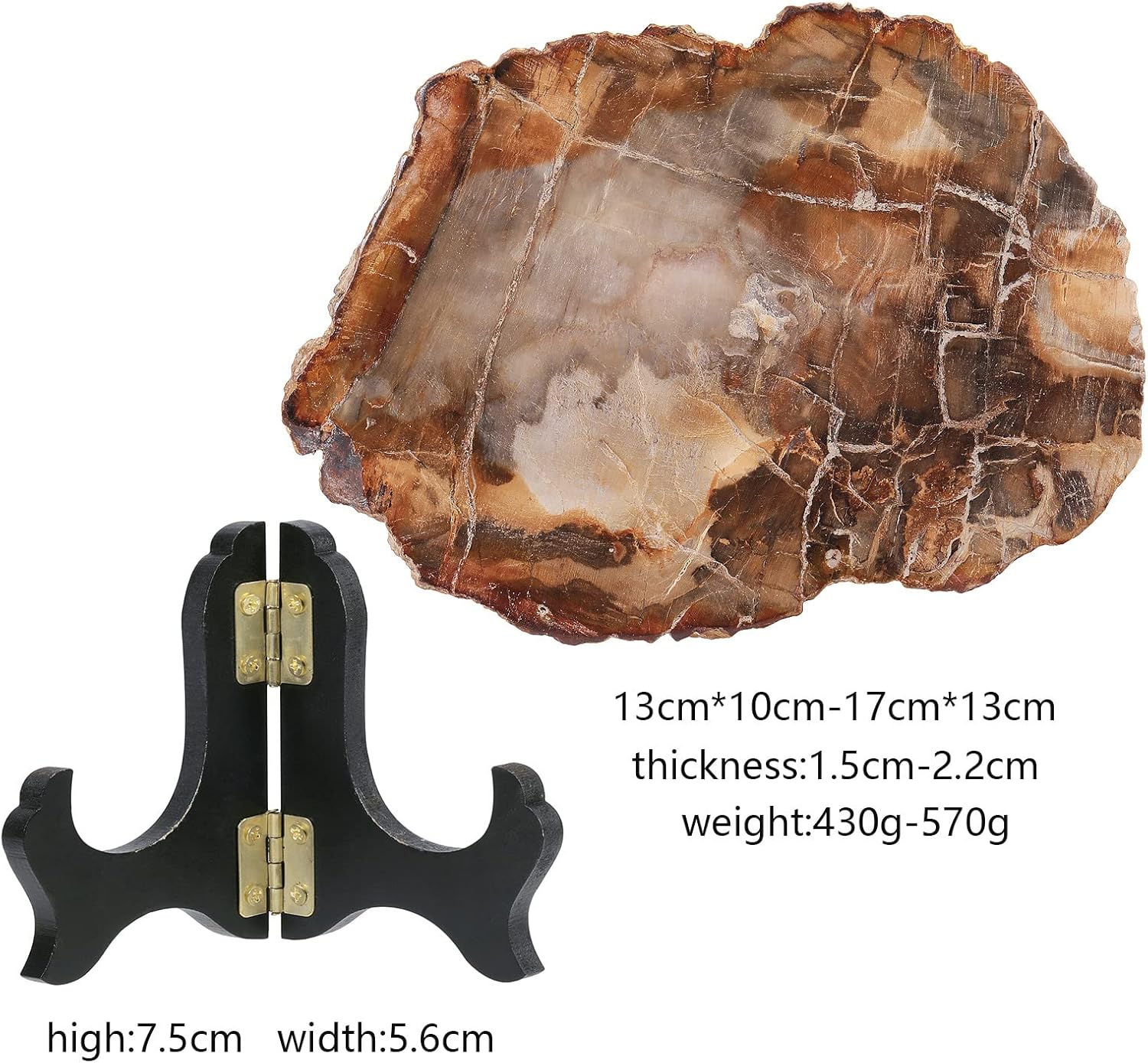 Rockcloud Natural Petrified Wood Slab with Stand for Home Office Decoration