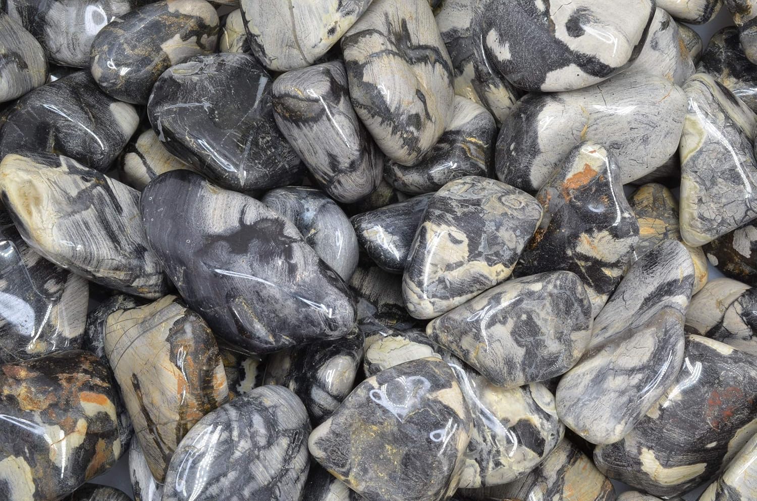 Fantasia Silver Leaf Jasper Stones - 5 lbs Tumbled African Rocks