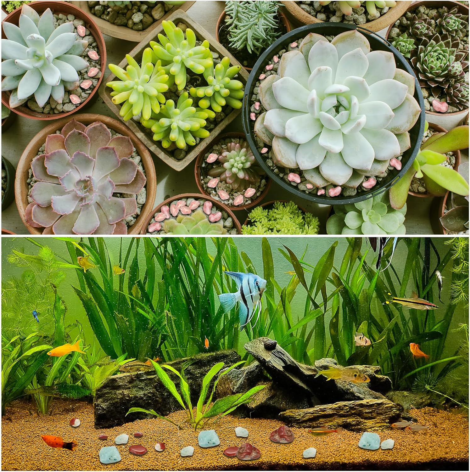 PATIKIL Crystal Tumbled Chips Stones 2 Sets Multicolor for Aquarium and Decor