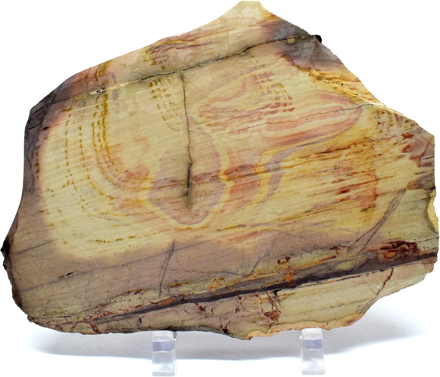 61 Inch Polychrome Royal Jasper Slab Decor Stone