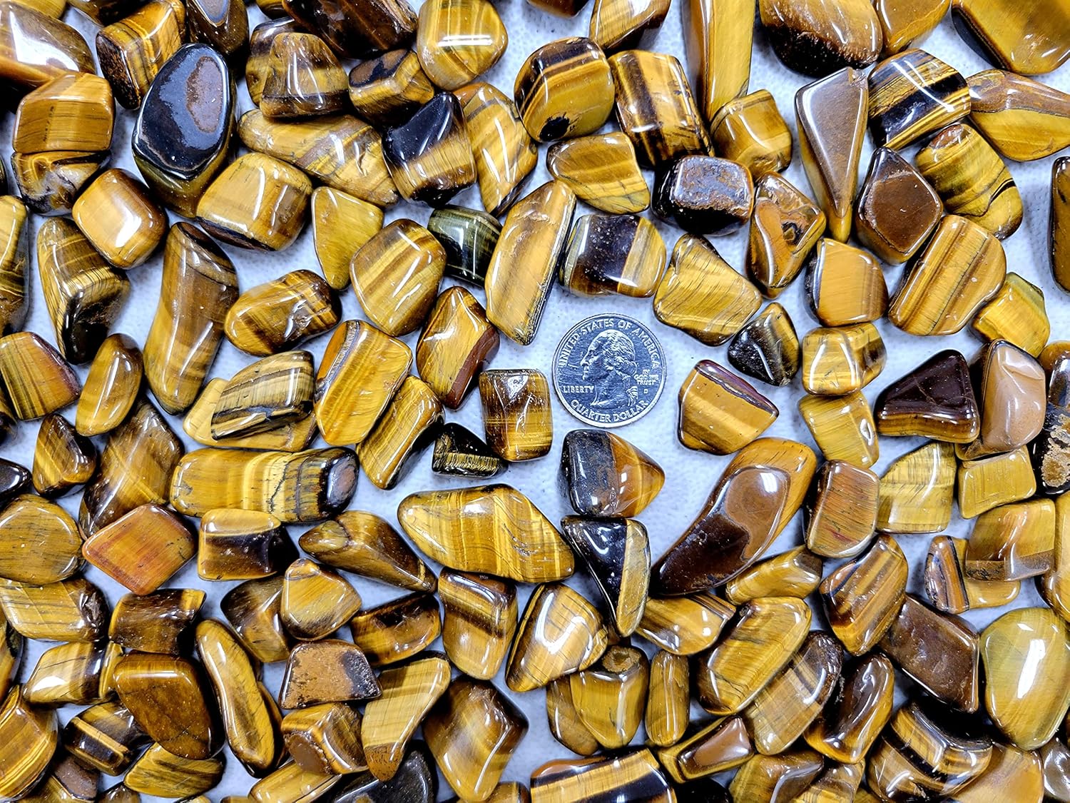 Tumbled Tigers Eye Crystal Stones 12 LB Natural Healing