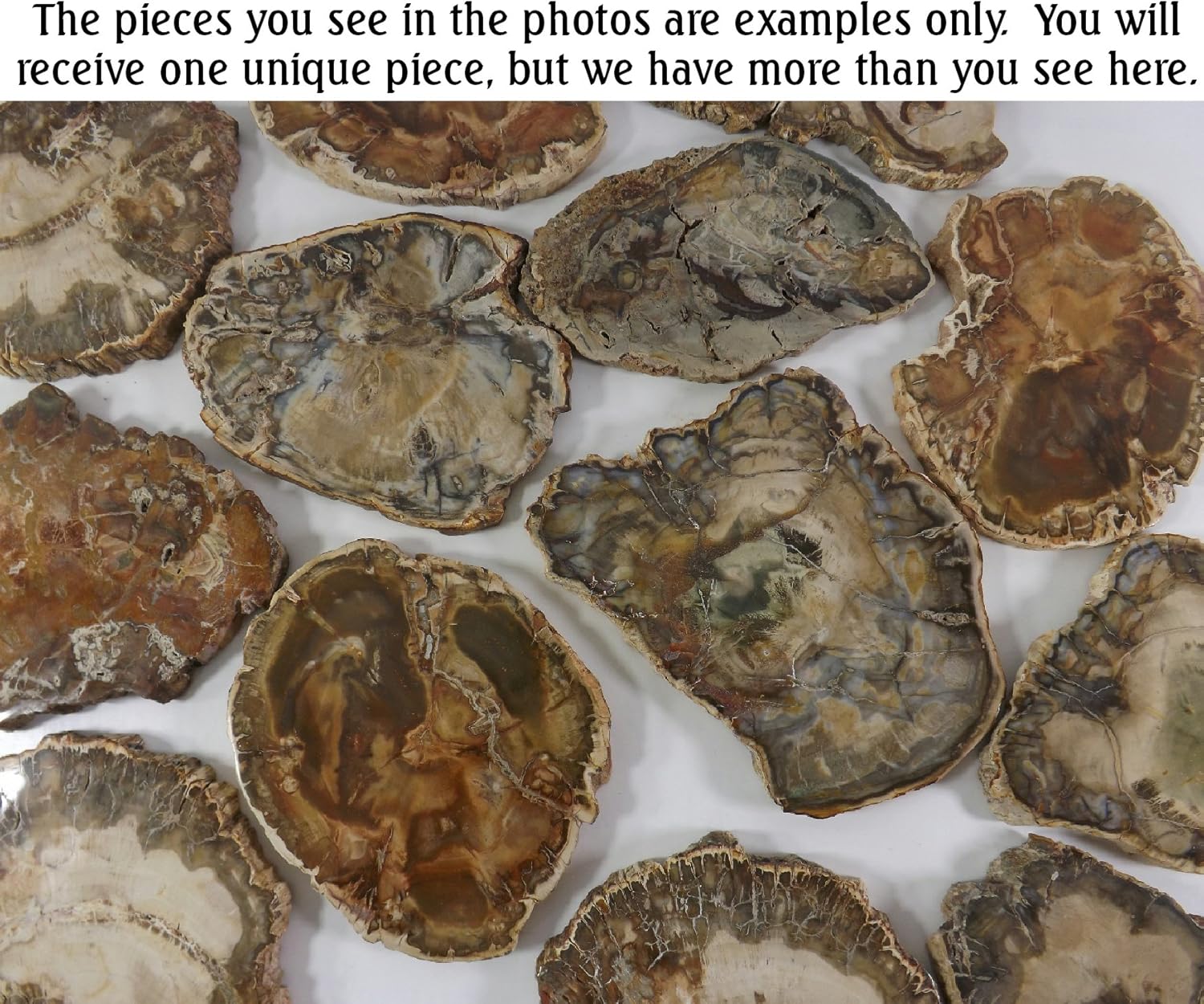 Petrified Wood Slab from Madagascar Unique Stone Slice 4-5 Inches Size