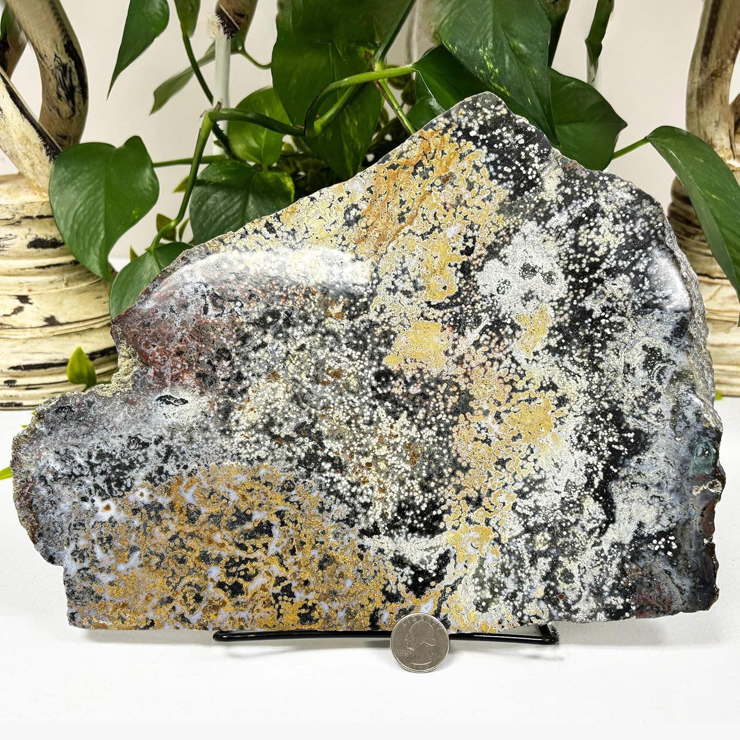 Natural Sea Jasper Crystal Gemstone Slab - RSL055 1