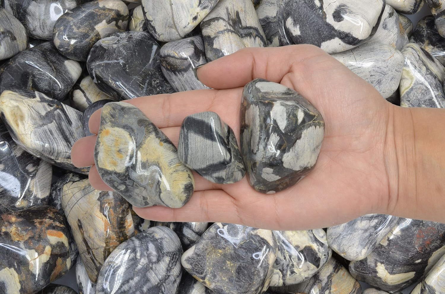 Fantasia Silver Leaf Jasper Stones - 5 lbs Tumbled African Rocks
