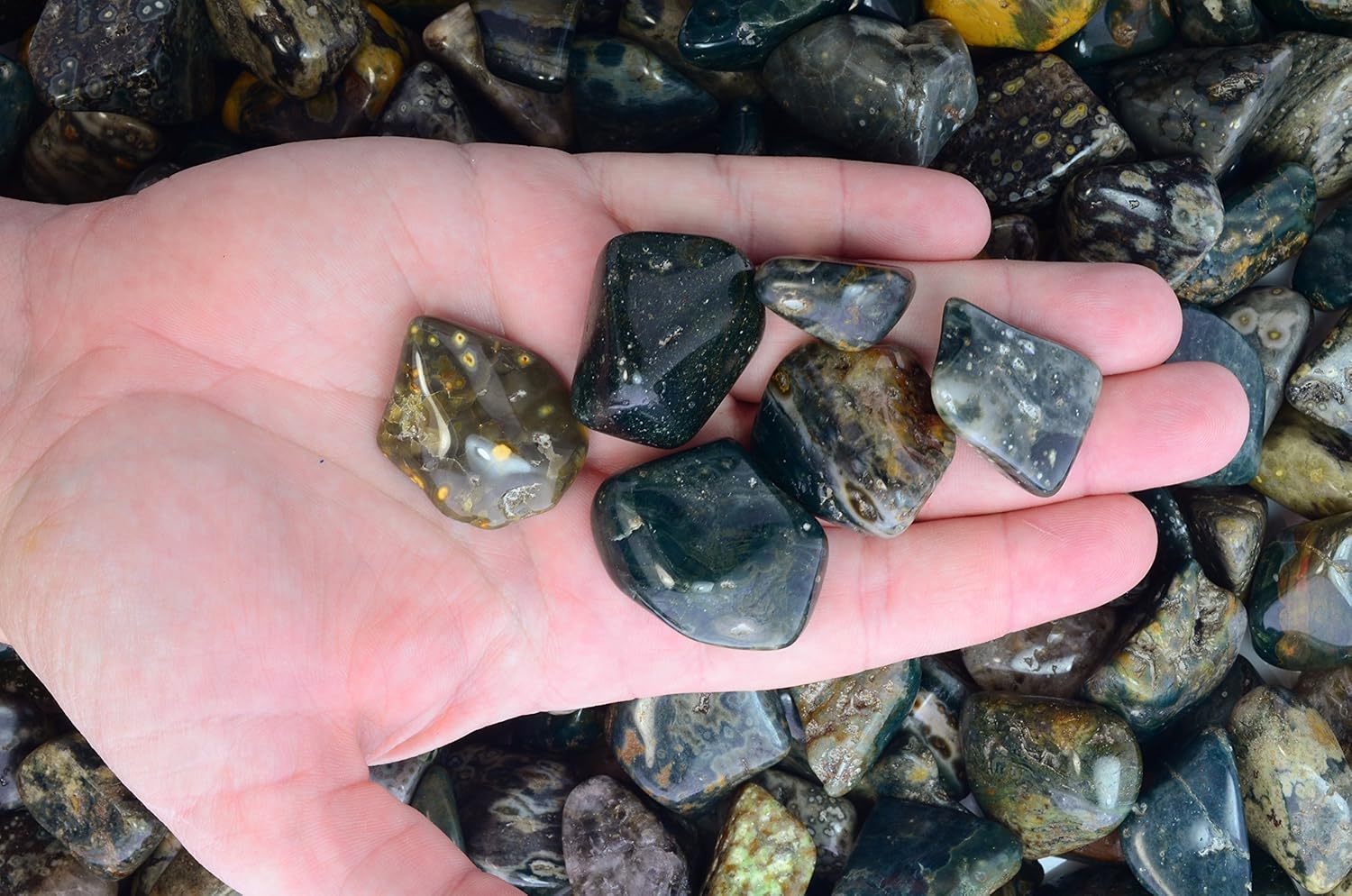 Fantasia 5 Lbs Tumbled Sea Jasper Stones from Madagascar