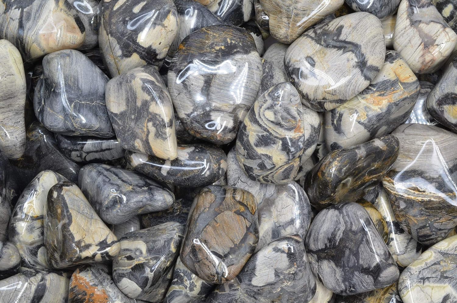 Fantasia Silver Leaf Jasper Stones - 5 lbs Tumbled African Rocks