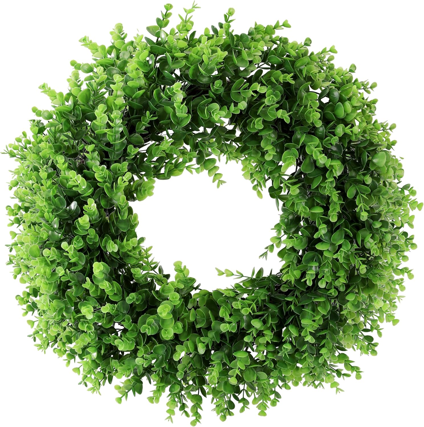 20 Inch Preserved Boxwood Wreath for Front Door