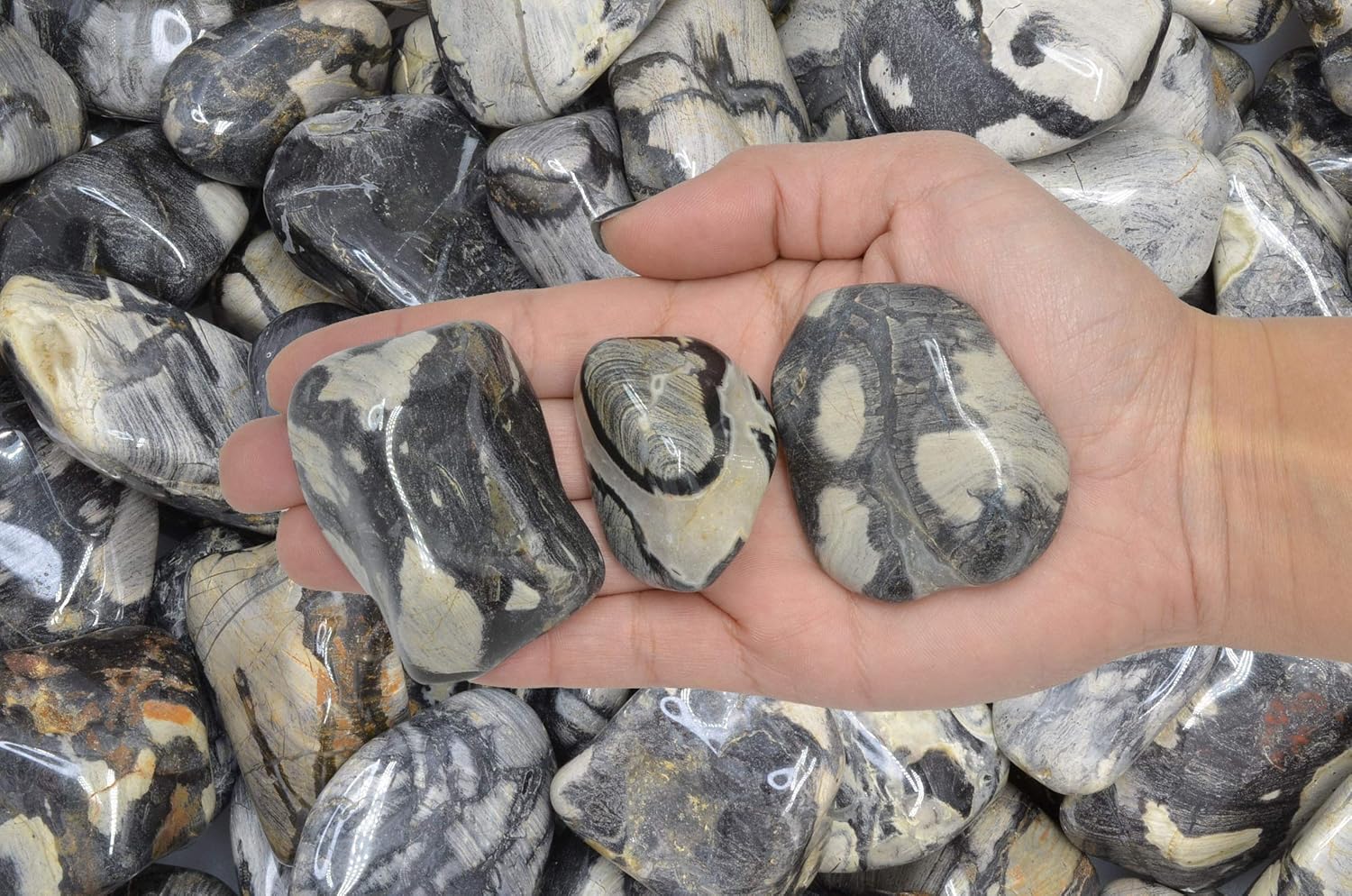 Fantasia Silver Leaf Jasper Stones - 5 lbs Tumbled African Rocks