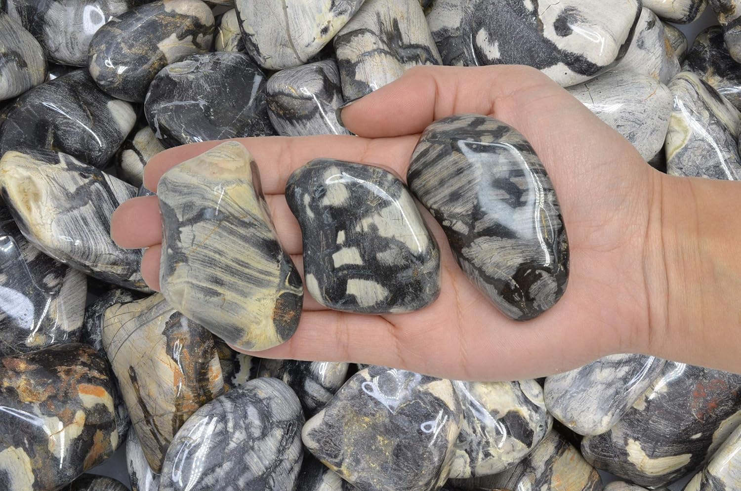 Fantasia Silver Leaf Jasper Stones - 5 lbs Tumbled African Rocks