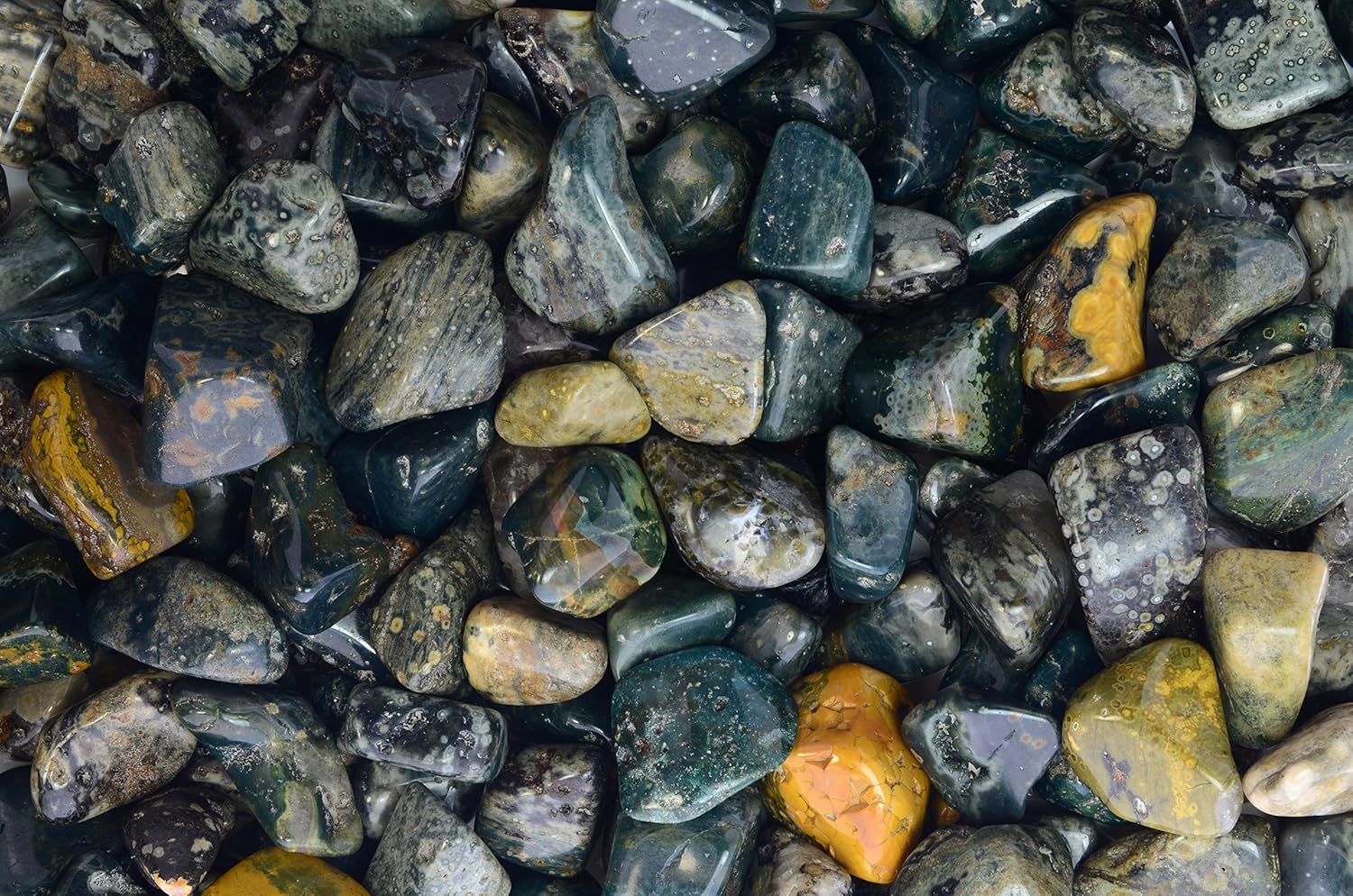 Fantasia 5 Lbs Tumbled Sea Jasper Stones from Madagascar