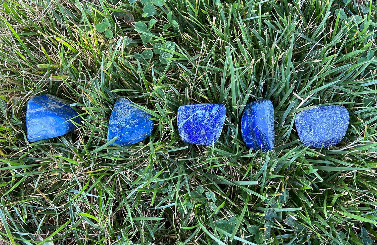 Zentron Crystal Tumbled Lapis 1 Pound Set